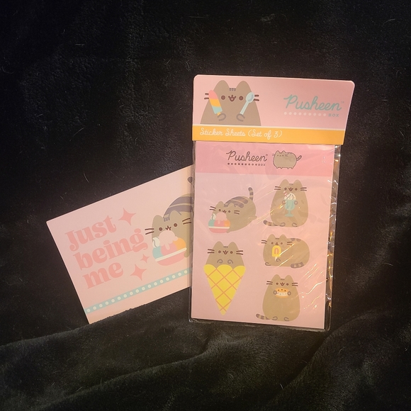 Pusheen Box Summer 2021 - Picture 5 of 9